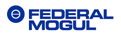 Federal Mogul